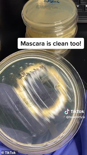 عينة الماسكارا لا تحتوي على بكتيريا