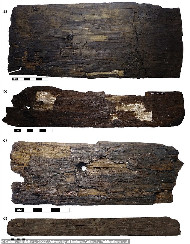 قام علماء الآثار من جامعة أيسلندا بتحليل الأخشاب من خمسة مواقع نورسية في غرب جرينلاند ، كانت مشغولة بين عامي 1000 و 1400. في الصورة: ألواح خشب البلوط المستوردة وعصي البرميل