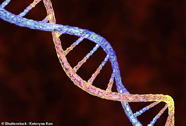أدى الاكتشاف - تحديد كيفية انتقال الشفرة الجينية من الأب إلى الطفل - إلى إحداث تطورات غيرت العالم في العديد من المجالات ، بما في ذلك علاج الأمراض الوراثية (المخزون)