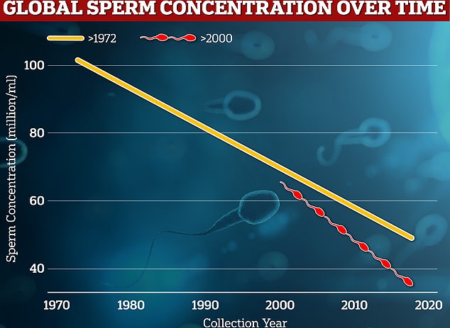 يوضح الرسم البياني: معدل تركيز الحيوانات المنوية ينخفض ​​عالميًا من العينات التي تم جمعها من عام 1972 إلى 2000 (برتقالي) ومنذ عام 2000 (أحمر)