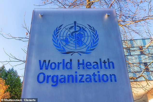 قال تحذير منظمة الصحة العالمية إن سلالة Echovirus-11 وراء وفيات الأطفال حديثي الولادة في فرنسا تبدو جديدة ، مع عدم وجود سجل سابق لها في أي مكان في العالم.