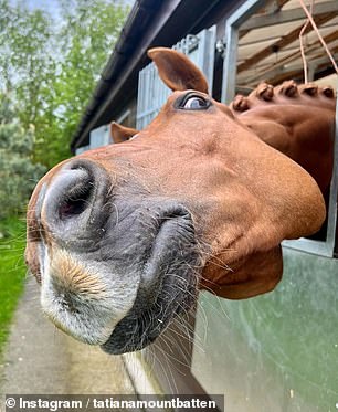 قامت تاتيانا بتحميل صورة مرحة لخيول في منشورها على Instagram