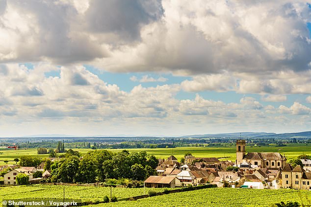 سيمون يمر عبر قرى النبيذ المرموقة في Meursault و Volnay و Pommard (في الصورة).  يقول 