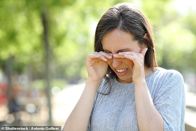 اقترح العلماء أن التعرض المتزايد لأشعة الشمس أدى إلى مزيد من الضرر من الأشعة فوق البنفسجية ، مما يزيد من مخاطر الإصابة بمشاكل في الرؤية