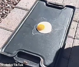 بيضة تطبخ في حرارة فينيكس