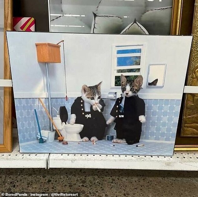 مجمعة القط!  يبدو أن هذه الصورة الرائعة التي تُظهر قطتين صغيرتين في مكان غريب قد تم وضعهما جنبًا إلى جنب مع أعمال فنية متنوعة أخرى