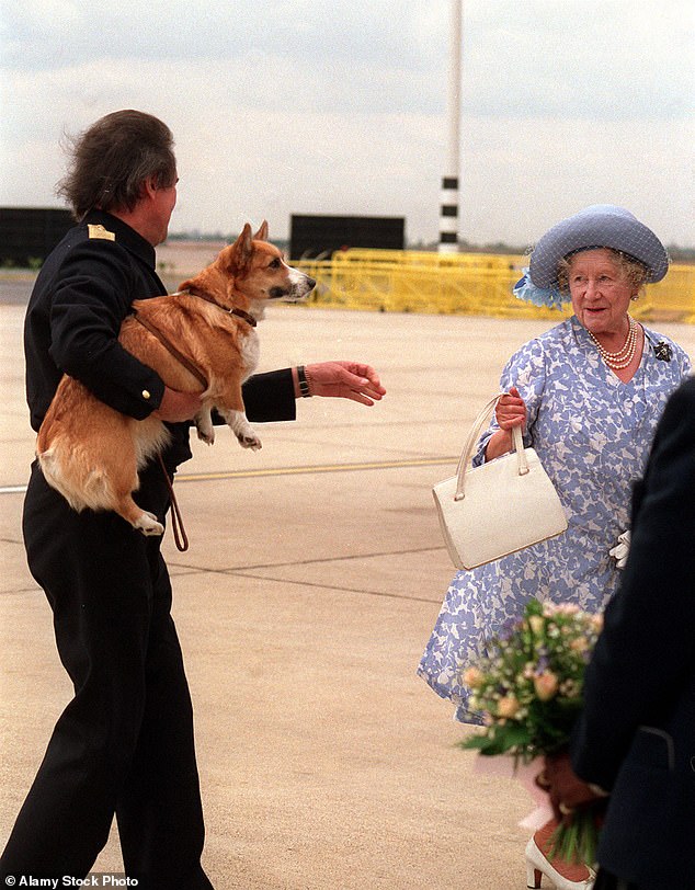 اعتقد تالون أن وظيفته هي إبقاء صاحب العمل مبتسمًا.  مع وجود كلب في ذراعه، أعاد للتو حقيبة يد الملكة الأم إلى صاحبها في مطار هيثرو