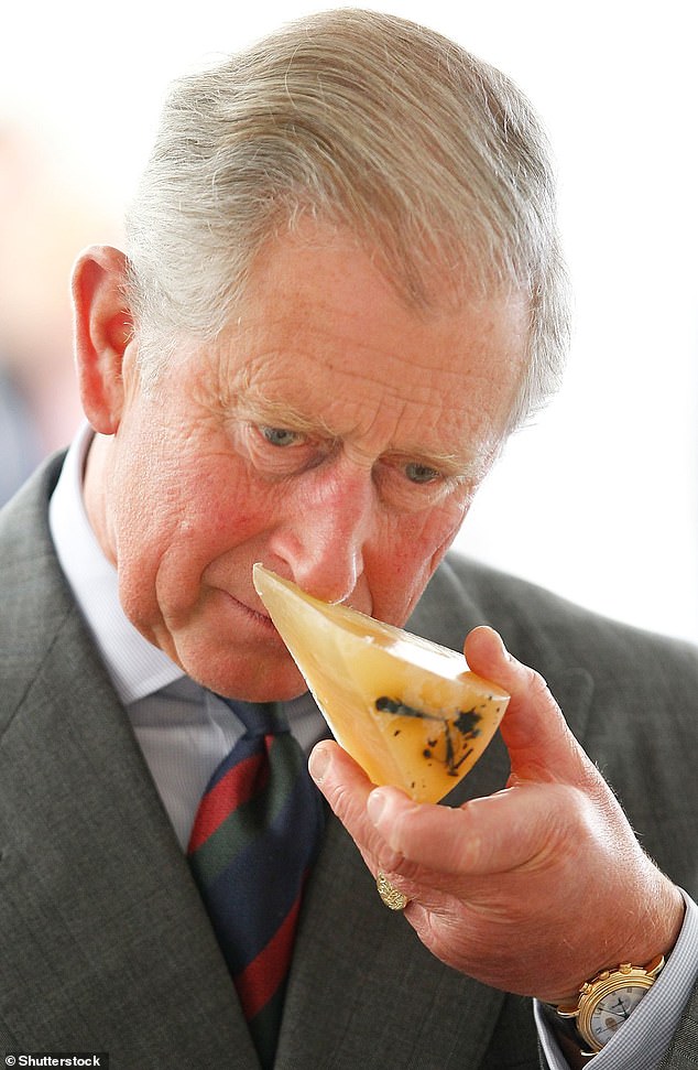 سيبدأ تشارلز، عاشق الجبن، العمل في زيارة إلى إدنبرة في سبتمبر 2010