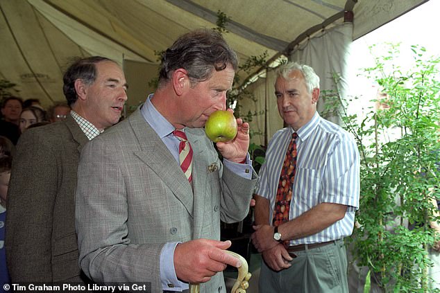 يتمتع تشارلز ذو الصدر المزدوج برائحة جادة من Howland Wonder Apple - وهي فاكهة إنجليزية نادرة - في معرض شيشاير في يونيو 1998