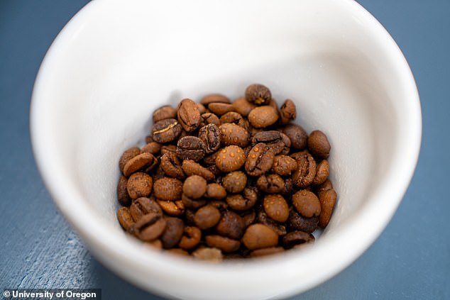 إن رش رذاذ الماء الخفيف على حبوب القهوة قبل الطحن سيخلق قوامًا أكثر تجانسًا، خاصة مع القهوة المحمصة الداكنة المطحونة جيدًا.