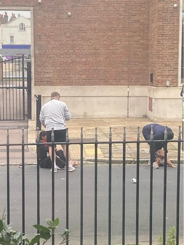 صورة تم التقاطها بعد هجوم XL Bully على طفل صغير في غرينتش، لندن في أكتوبر من العام الماضي
