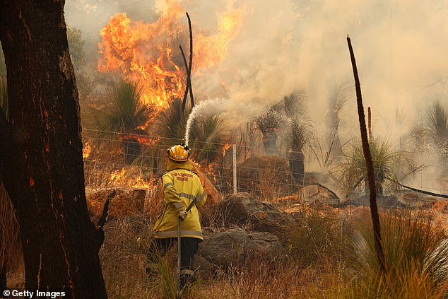 وفي مكان آخر، اندلعت حرائق الغابات في أجزاء من غرب فيكتوريا، مما اضطر العديد من الأشخاص إلى الفرار من منازلهم (صورة مخزنة)