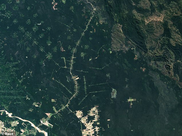 تُظهر صور الأقمار الصناعية لوكالة ناسا آثار إزالة الغابات في بوليفيا بين عامي 1986 (يسار) و2022 (يمين)