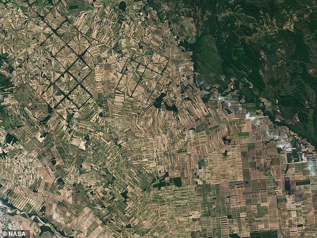 تُظهر صور الأقمار الصناعية لوكالة ناسا آثار إزالة الغابات في بوليفيا بين عامي 1986 (يسار) و2022 (يمين)