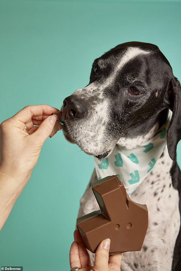 تطلق شركة ديليفيرو Delivery-Woof، وهي بيضة شوكولاتة محدودة الإصدار صديقة للكلاب - مصنوعة من مكونات طبيعية 100٪ وآمنة للكلاب، في الوقت المناسب لعيد الفصح