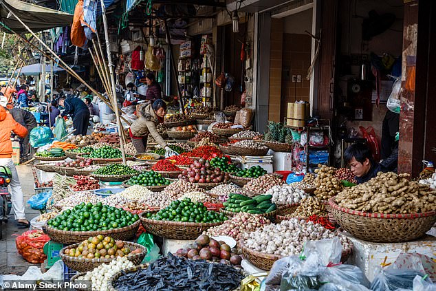 سوق الشارع في هانوي، فيتنام