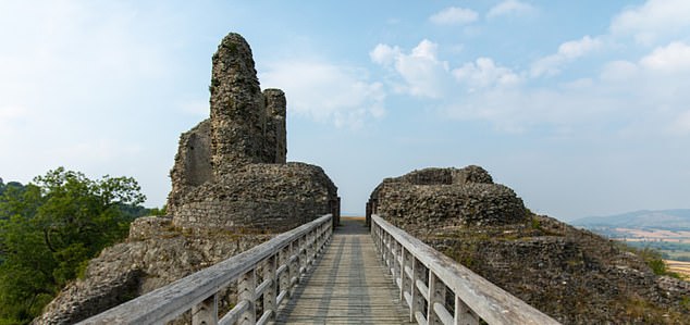 يعود تاريخ قلعة مونتغمري، الواقعة على صخرة فوق مدينة مونتغمري الجورجية في ويلز، إلى القرن الثالث عشر.  ومع ذلك، فقد تم هدمه في عام 1649 وأصبح عبارة عن مجموعة من الآثار الملفتة للنظر منذ ذلك الحين.  مرجع شبكة نظام التشغيل: SO 21883 96830