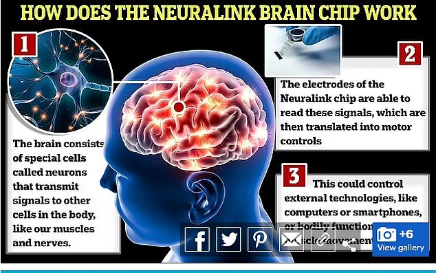 تنقل رقائق الدماغ Neuralink إشارات إلى أعصاب الجسم والتي يتم ترجمتها إلى أدوات تحكم حركية
