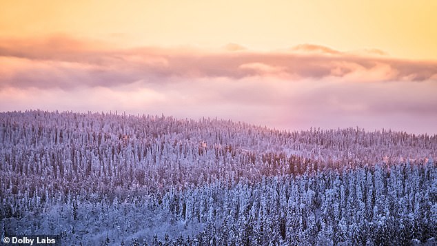 جوقة الفجر في بحيرة سوفاسفيسي في فنلندا هي التالية، حيث لا تغرب شمس الصيف أبدًا، مما يخلق جوقة لا نهاية لها من الطيور الغواصة ذات الحنجرة السوداء.