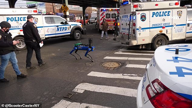 توقف سكان برونكس بنيويورك عن الموت في مساراتهم عندما كان الكلب الآلي ذو الأربع أرجل يسير في شارع 227 الشرقي في فبراير 2021.