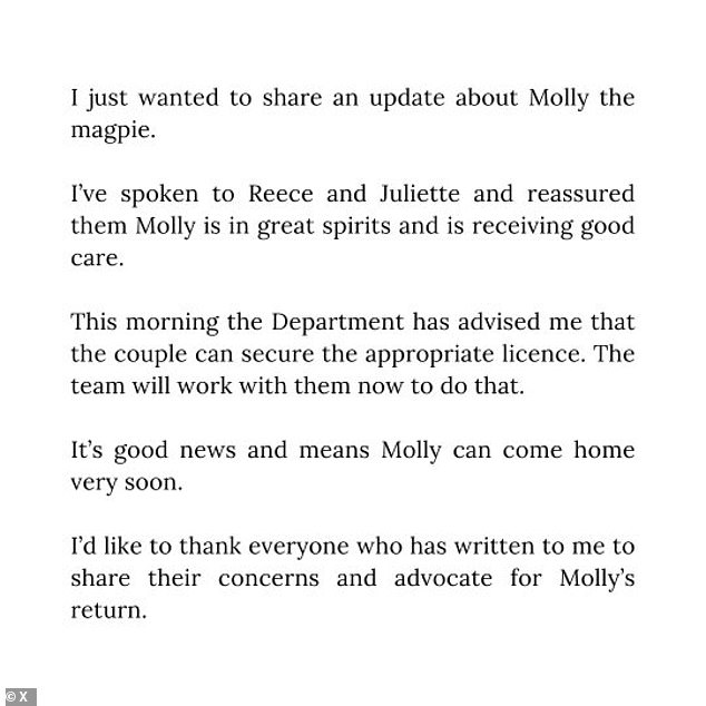 قدم السيد مايلز تحديثًا رئيسيًا عن Molly the Magpie يوم الأربعاء