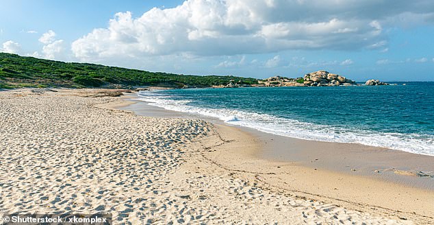في الصورة: الشاطئ الرملي على شاطئ Licciola، الواقع بالقرب من Valle dell'Erica