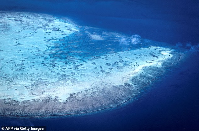 تُظهر هذه الصورة الجوية الملتقطة في 4 أبريل 2024 جزيرة مرجانية بالقرب من جزيرة ليزارد على الحاجز المرجاني العظيم، وتقع على بعد 167 ميلاً شمال مدينة كيرنز.