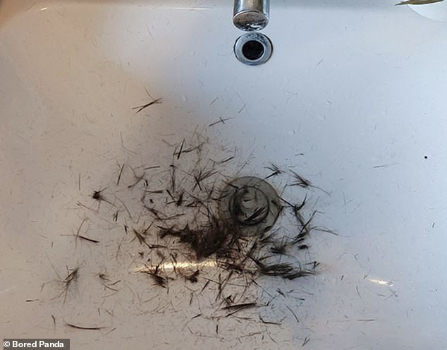 ترك زوج أحدهم قصاصات شعر في الحوض لتنظفها قبل أن يتوجه إلى العمل لهذا اليوم