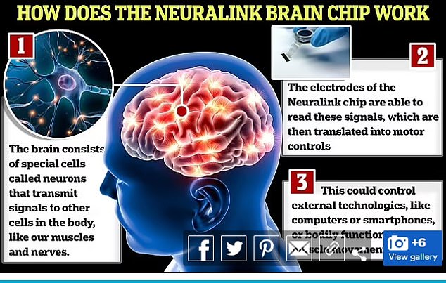 وستكون واجهات الدماغ والحاسوب، مثل Neuralink التي ابتكرها إيلون ماسك، بمثابة مرحلة رئيسية