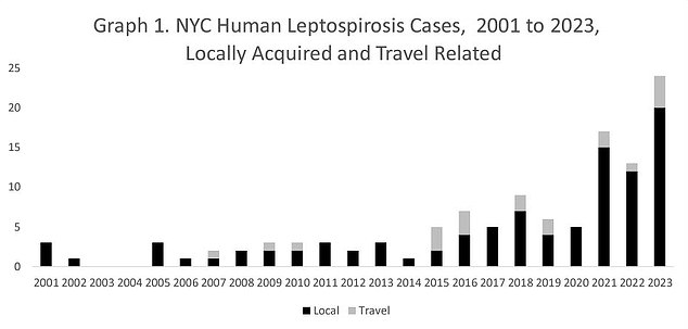 بين عامي 2001 و2020، كانت مدينة نيويورك تشهد ثلاث حالات فقط من داء البريميات البشرية سنويًا.  وقفز ذلك ثمانية أضعاف في عام 2023. وحتى الآن في عام 2024، كانت هناك ست حالات