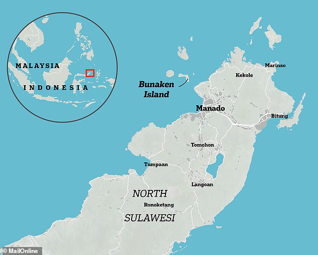 تم التقاط اللقطات الرائعة لمواجهة الأخطبوط قبالة جزيرة بوناكن في إندونيسيا لصالح مجلة ناشيونال جيوغرافيك
