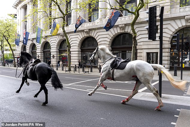 وشوهد اثنان من الخيول وهما يركضان في شوارع لندن ملطخين بالدماء