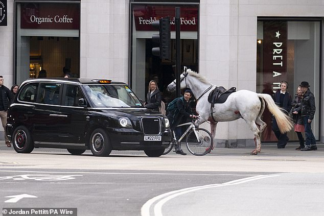 وشوهد سكان لندن وهم يتجنبون أحد الخيول أثناء ركضه على طول الرصيف.  وبحسب ما ورد اصطدم أحد الخيول بسيارة أجرة سوداء