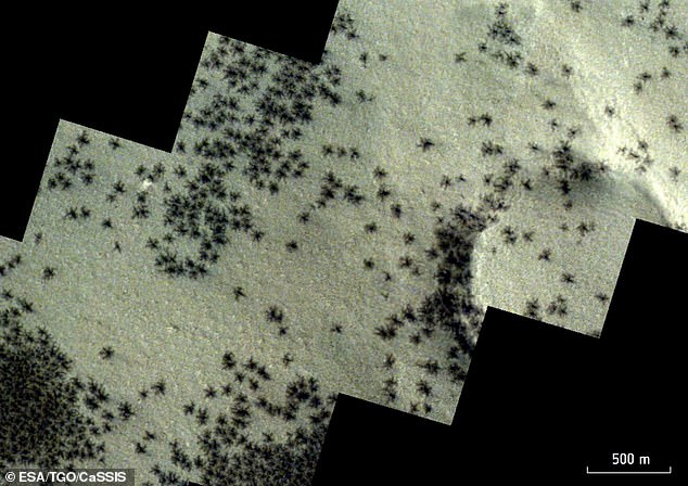 تظهر هنا شريحة من سطح المريخ، تم التقاطها بواسطة مركبة ExoMars Trace Gas Orbiter التابعة لوكالة الفضاء الأوروبية.  يظهر على اليمين جزء مستدير من حوض الحفرة المتآكل.  لاحظ البقع الداكنة العديدة ذات المحلاق التي تذكرنا بشكل مخيف بالعناكب.  تظهر هذه العناصر بأعداد كبيرة على اليسار، وتنتشر بشكل غير منتظم في بقية الصورة