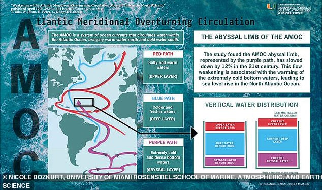 يعد التيار الضعيف - المسمى الطرف السحيق - جزءًا من الدورة الانقلابية للمحيط الأطلسي (AMOC)، وهو نظام من تيارات المحيطات التي تعمل بمثابة 