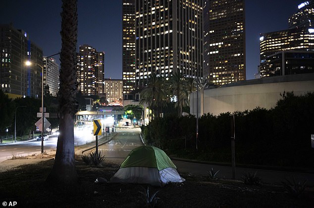 تعد لوس أنجلوس حاليًا موطنًا لأكثر من 46000 شخص بلا مأوى، أي بزيادة قدرها 10 بالمائة عن العام السابق، وفقًا لهيئة خدمات المشردين في لوس أنجلوس.