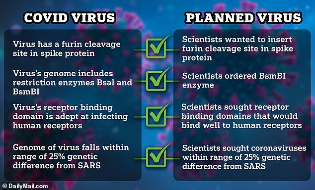 في عام 2018، سعى العلماء إلى إنشاء فيروس جديد بميزات تتطابق بشكل وثيق مع فيروس SARS-CoV-2، وهو الفيروس الذي يسبب مرض كوفيد، والذي يقول البعض إنه بمثابة مخطط لكوفيد - والوباء الناتج عنه.