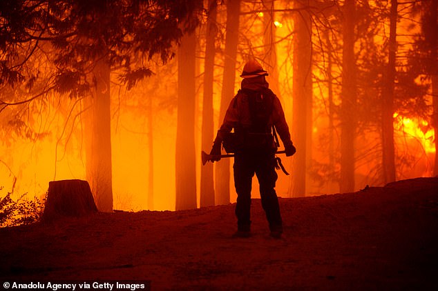 أشعل الآباء المتواجدون في كاليفورنيا حريقًا في عام 2020 بعد استخدام 