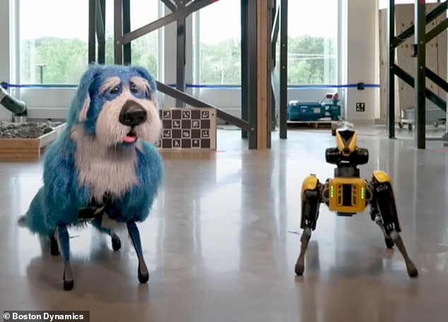 نشرت شركة Boston Dynamics الفيديو على قناتها على YouTube احتفالًا باليوم العالمي للرقص في وقت سابق من هذا الأسبوع.  ويضم اثنين من الكلاب الروبوتية العملاقة في مجال التكنولوجيا، سبوتس، يجتمعان مع بعضهما البعض