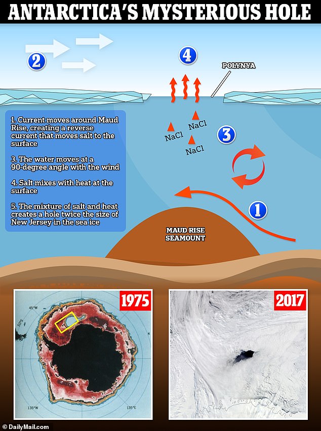 نتجت البولينيا عن مزيج من تيارات مياه المحيط والرياح وزيادة مستويات الملح في الماء الذي أدى إلى إذابة الجليد البحري.