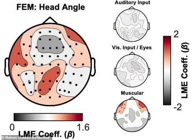 تُظهر الصورة أجزاء الدماغ التي تحمل إشارات تتعلق بالجوانب المختلفة للمهمة.  تُظهر النقطة الحمراء الموجودة في الجزء السفلي الأوسط من 
