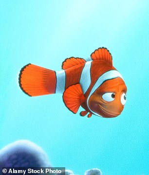 في فيلم Finding Nemo، غالبًا ما يئن والد نيمو، مارلين