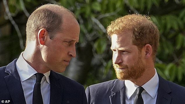 الأمير ويليام والأمير هاري يسيران بجانب بعضهما البعض بعد مشاهدة تكريم الأزهار للملكة الراحلة إليزابيث الثانية خارج قلعة وندسور